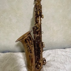 アルトサックス❗️キャノンボール❗️
