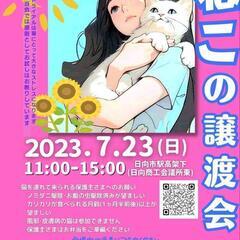 ねこ縁結びの会7月譲渡会 ―日向市駅高架下―