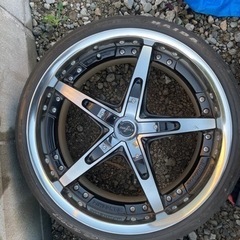 PANDEMIC FABULOUS 20インチ