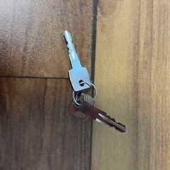 THULE エアロバー、フラッシュレール用フット