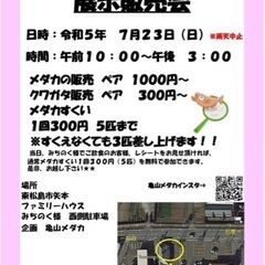 改良メダカ&クワガタ展示販売会(7/23)