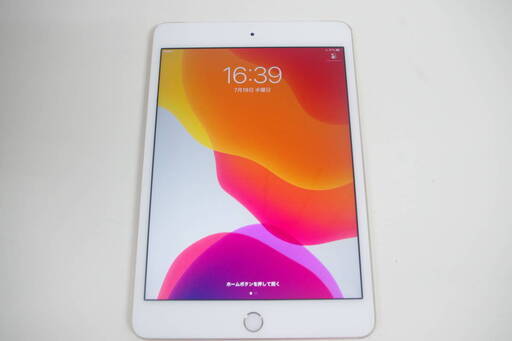 SIMロック解除済】iPad mini 4 MK712J/A (A1550) 16GB maxirefeicoes