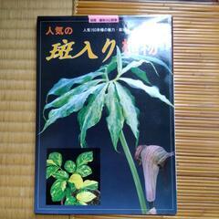 「人気の斑入り植物」栃の葉書房