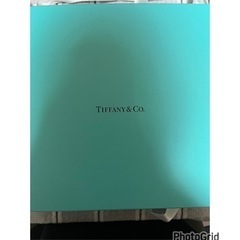 TIFFANY&Co. ティファニー プラチナブルーバンド デザ...