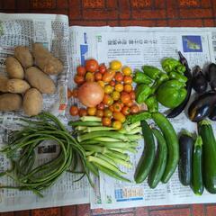 【お取引先決定済み】じゃがいもと野菜のセット