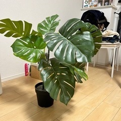 終了　IKEA  人工観葉植物 モンステラ +ラタンバスケット