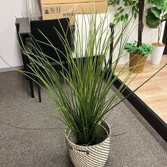 IKEA　観葉植物　FAKE