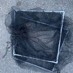 スカリ　釣り　タイ、アジなど活かすのに　新品