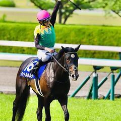 競馬仲間募集します🐴