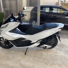 【ネット決済】pcx125 jf81 早期取引希望