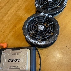 長谷川慎クッション