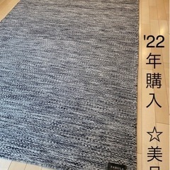 ACTUS購入82,500円の美品ラグ