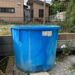 ダイライト　水槽