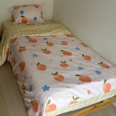 Nitori Single Bed & Mattress