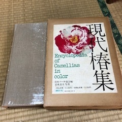 現代椿集　日本ツバキ協会編　冨成忠夫写真