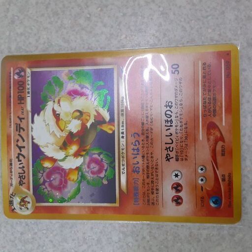 希少！初版！旧裏面ポケモンカードやさしいウィンディ