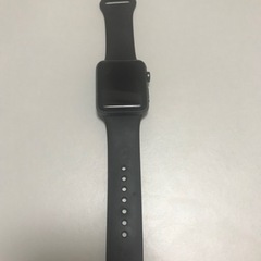 Apple Watch series3 再投稿