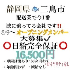 単価上がりました‼️今が狙い目！🌟⋆꙳