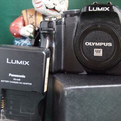LUMIX G1　　充電器あり　　稼働しますがかなりくたびれている
