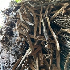 無料！薪木　めっちゃ乾燥しています