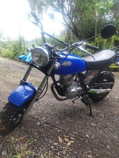 ホンダ、エイプ50