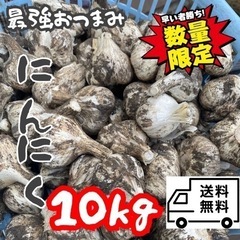 【青森県産】にんにく福地ホワイト六片　白玉王