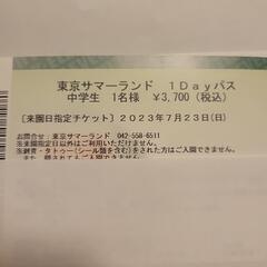 お値下げ!東京サマーランド2023年7月23日(日曜日)1day...