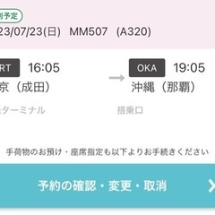 【ネット決済・配送可】7/23（日） peach507便 (16...