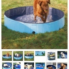 大型犬用ドッグプール 1度のみ使用