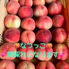 勝沼の美味しい桃 🍑なつっこ🍑