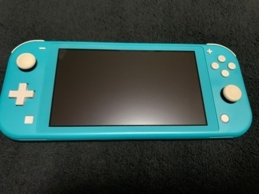 任天堂Switch Light(本体のみ)