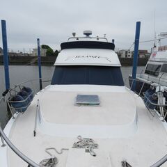 クルーザーアフト 45F FB GM550×2
