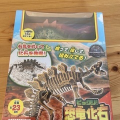恐竜化石発掘セット