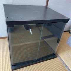 テレビ台