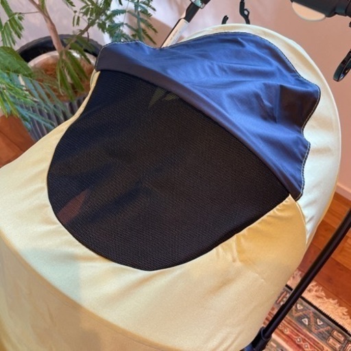 二胡Jinchuan 赤いソフト軽量ケース