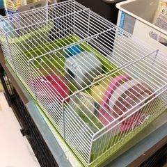 ハムスターの飼育セット