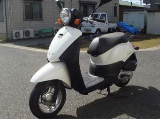HONDA TODAY バイク
