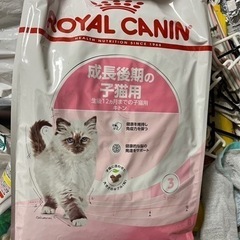 ロイヤルカナン子猫用10キロ