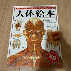 人体絵本　500円