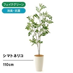 フェイクグリーン(人工観葉植物)