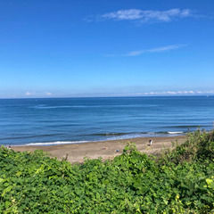 今日、海行きてやついねか〜