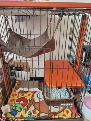 ペットゲージ 猫用！即日対応します！