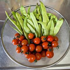 野菜セット