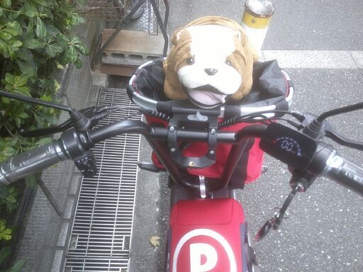 新古車　電動バイク　PONY　ペットと一緒♪　原付免許必要です