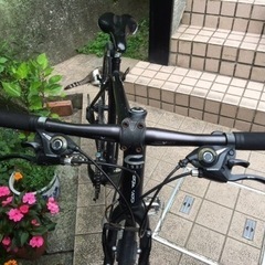 クロスバイク corratec SHAPE TAPERED TT