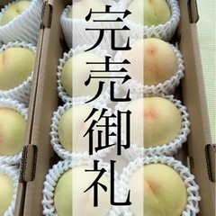 【本日最後】清水白桃・ハネ桃