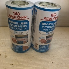 ROYAL CANIN   ６缶セット