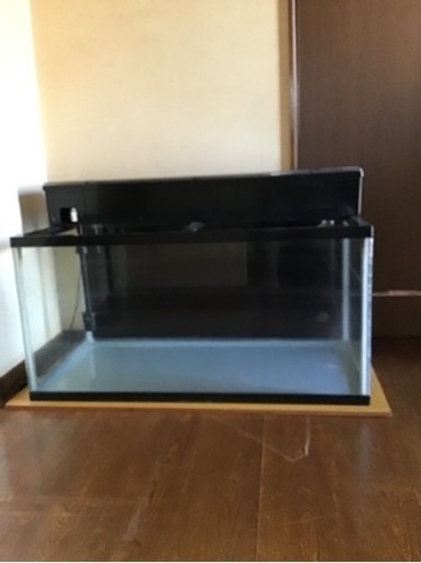 90センチ水槽