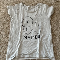 mambo マンボ　Tシャツ