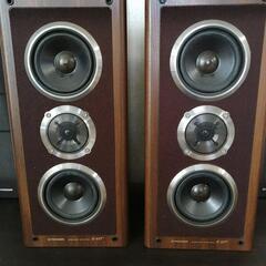 PIONEER S-55T
